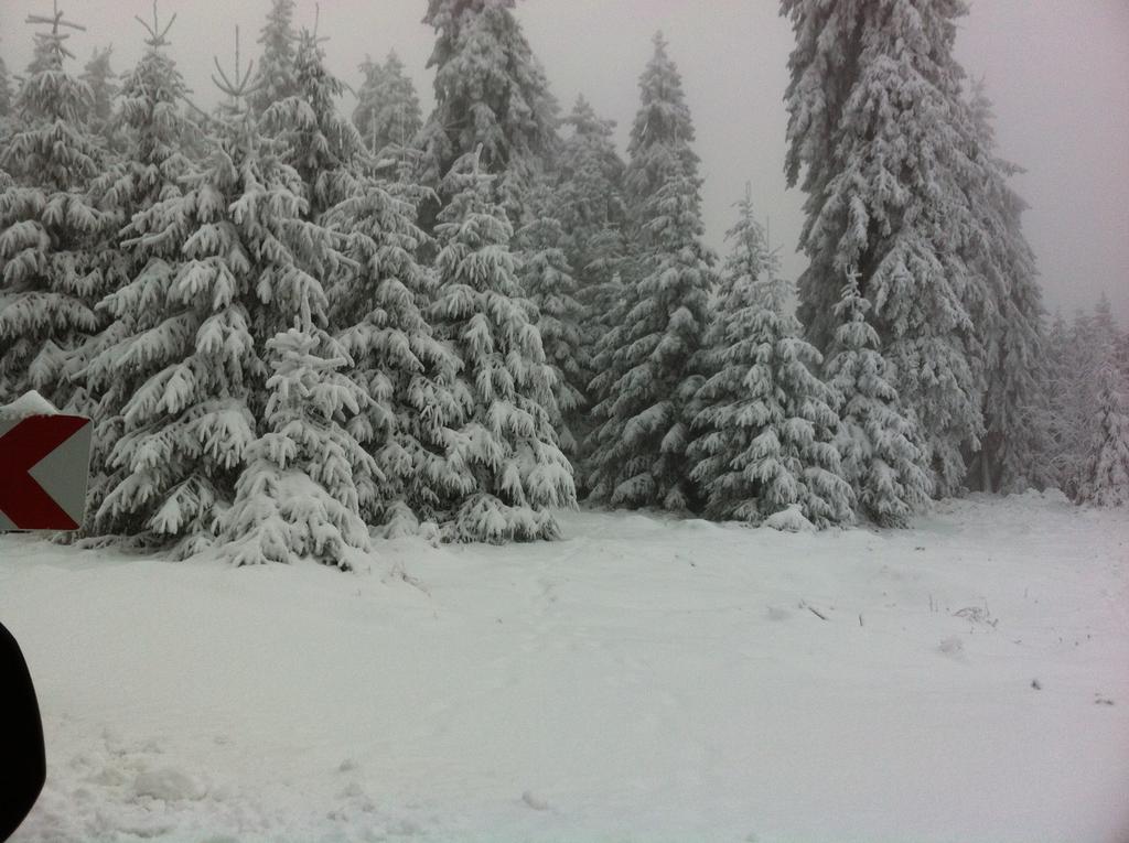 Land-Hotel Am Wald Garni Greiz Buitenkant foto